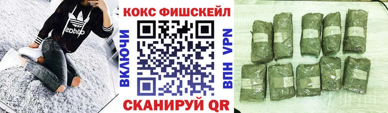 Кокаин Fish Scale  Купить  Мосальск 