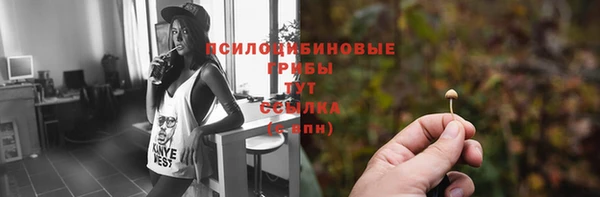 МДПВ Куйбышев