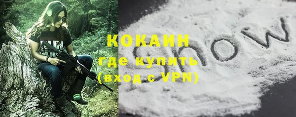 тгк Лагань